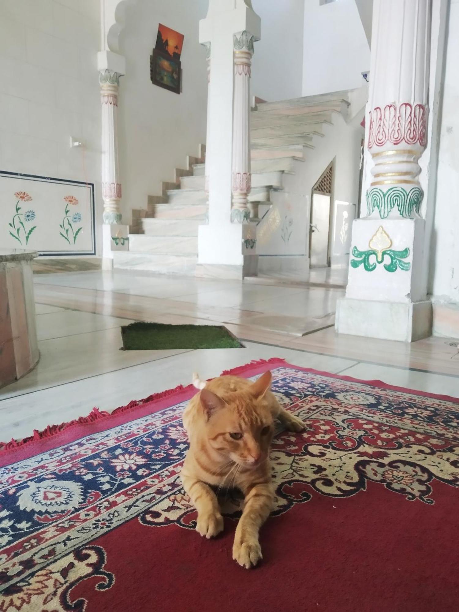 Pahasu House Apartment Jaipur Bagian luar foto
